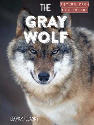 cover image of The Gray Wolf